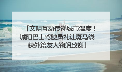 文明互动传递城市温度！城阳巴士驾驶员礼让斑马线获外籍友人鞠躬致谢