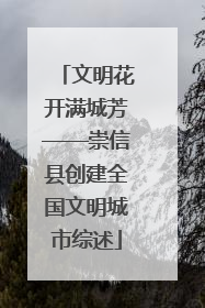 文明花开满城芳——崇信县创建全国文明城市综述