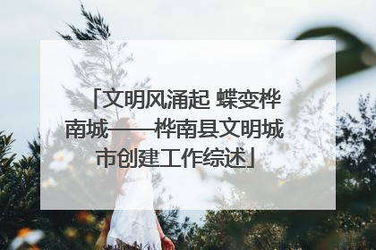 文明风涌起 蝶变桦南城——桦南县文明城市创建工作综述