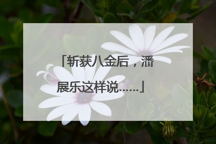 斩获八金后，潘展乐这样说……