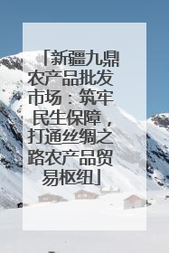 新疆九鼎农产品批发市场：筑牢民生保障，打通丝绸之路农产品贸易枢纽