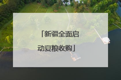 新疆全面启动夏粮收购