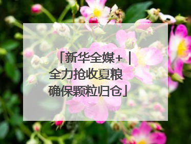 新华全媒+｜全力抢收夏粮 确保颗粒归仓