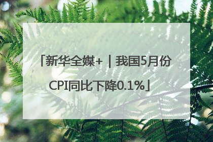 新华全媒+｜我国5月份CPI同比下降0.1%