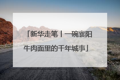 新华走笔丨一碗襄阳牛肉面里的千年城事