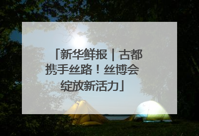 新华鲜报｜古都携手丝路！丝博会绽放新活力