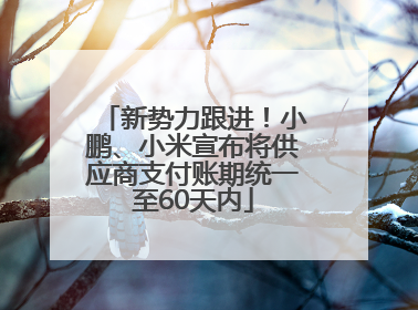 新势力跟进！小鹏、小米宣布将供应商支付账期统一至60天内