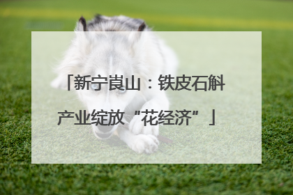 新宁崀山：铁皮石斛产业绽放“花经济”