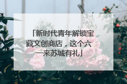 新时代青年解锁宝藏文创商店，这个六一来苏城有礼