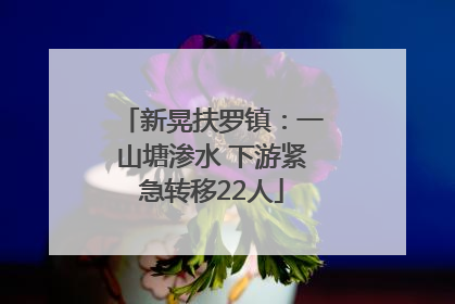 新晃扶罗镇：一山塘渗水 下游紧急转移22人