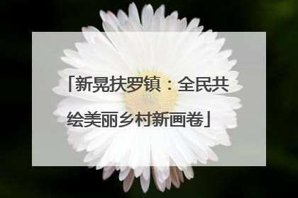 新晃扶罗镇：全民共绘美丽乡村新画卷