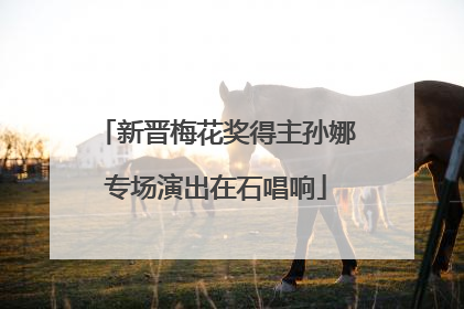 新晋梅花奖得主孙娜专场演出在石唱响