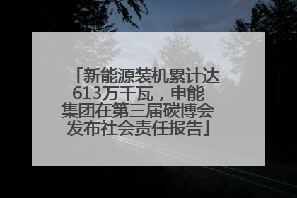 新能源装机累计达613万千瓦，申能集团在第三届碳博会发布社会责任报告
