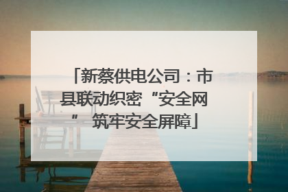 新蔡供电公司：市县联动织密“安全网” 筑牢安全屏障