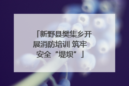 新野县樊集乡开展消防培训 筑牢安全“堤坝”