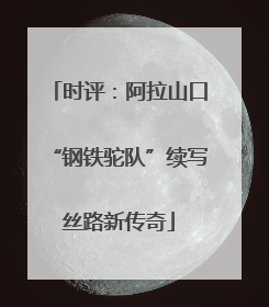 时评：阿拉山口“钢铁驼队”续写丝路新传奇