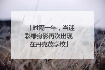 时隔一年，当迷彩绿身影再次出现在丹克茂学校
