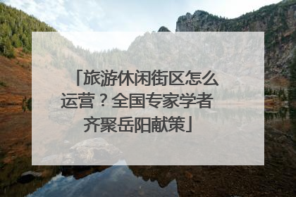 旅游休闲街区怎么运营？全国专家学者齐聚岳阳献策