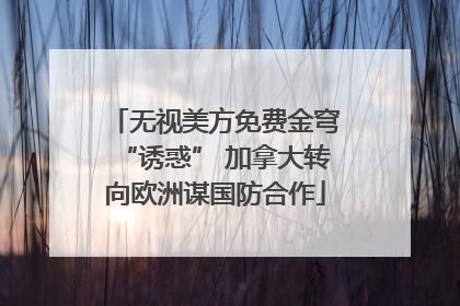 无视美方免费金穹“诱惑” 加拿大转向欧洲谋国防合作