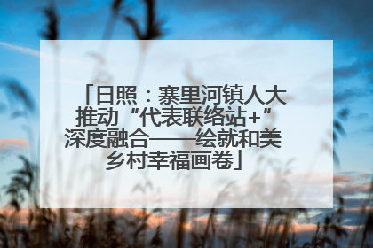 日照：寨里河镇人大推动“代表联络站+”深度融合——绘就和美乡村幸福画卷