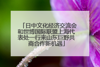 日中文化经济交流会和世博国际联盟上海代表处一行来山东巨野共商合作新机遇