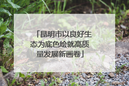 昆明市以良好生态为底色绘就高质量发展新画卷