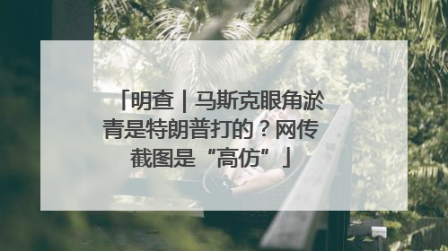 明查｜马斯克眼角淤青是特朗普打的？网传截图是“高仿”