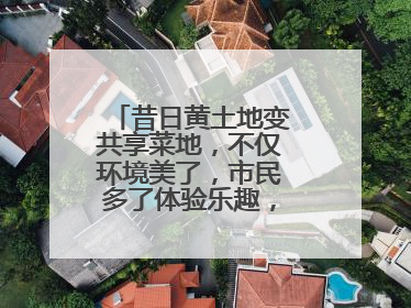昔日黄土地变共享菜地，不仅环境美了，市民多了体验乐趣，村民还能增收
