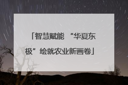 智慧赋能 “华夏东极”绘就农业新画卷