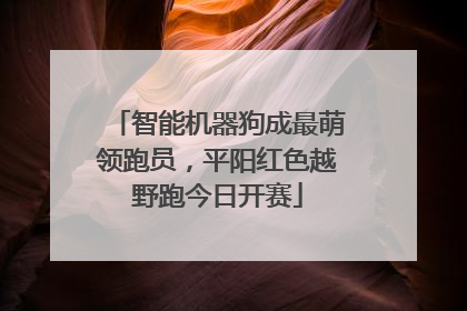 智能机器狗成最萌领跑员，平阳红色越野跑今日开赛