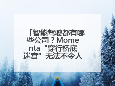 智能驾驶都有哪些公司？Momenta“穿行桥底迷宫”无法不令人印象深刻！