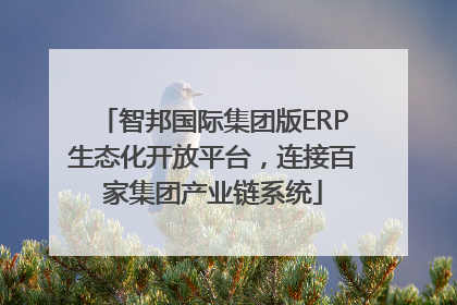 智邦国际集团版ERP生态化开放平台，连接百家集团产业链系统