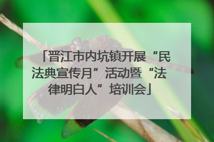 晋江市内坑镇开展“民法典宣传月”活动暨“法律明白人”培训会