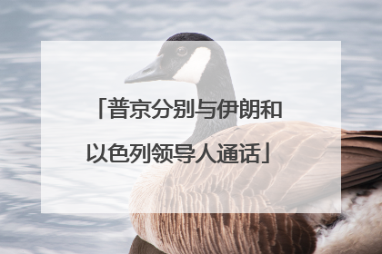 普京分别与伊朗和以色列领导人通话