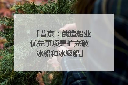 普京：俄造船业优先事项是扩充破冰船和冰级船