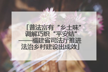 普法富有“乡土味” 调解巧织“平安结”——福建省司法厅推进法治乡村建设出成效