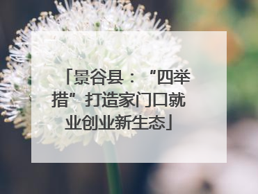 景谷县：“四举措”打造家门口就业创业新生态