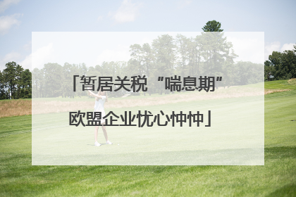 暂居关税“喘息期” 欧盟企业忧心忡忡