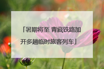 暑期将至 青藏铁路加开多趟临时旅客列车