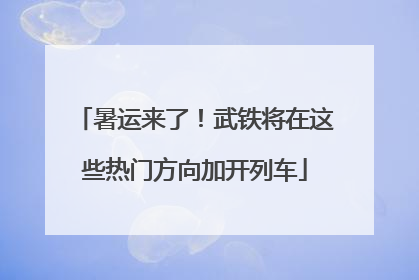 暑运来了！武铁将在这些热门方向加开列车