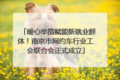 暖心举措赋能新就业群体！南京市网约车行业工会联合会正式成立