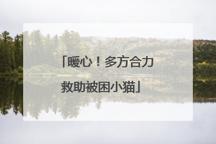暖心！多方合力救助被困小猫