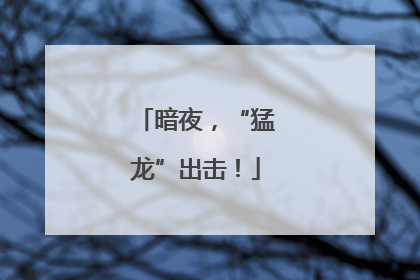 暗夜，“猛龙”出击！