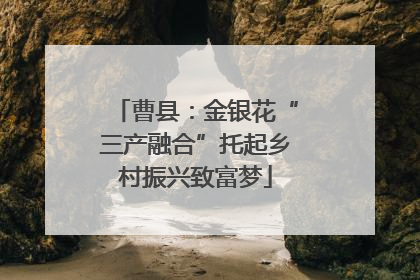 曹县：金银花“三产融合”托起乡村振兴致富梦