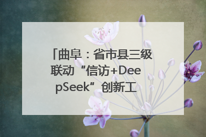 曲阜：省市县三级联动“信访+DeepSeek”创新工作新闻发布会举行