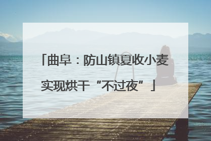 曲阜：防山镇夏收小麦实现烘干“不过夜”