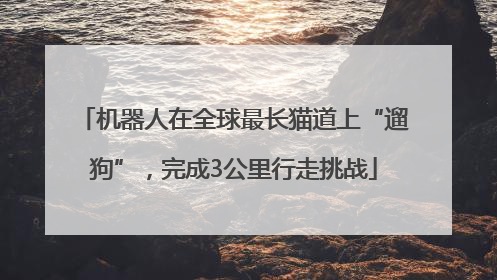 机器人在全球最长猫道上“遛狗”，完成3公里行走挑战