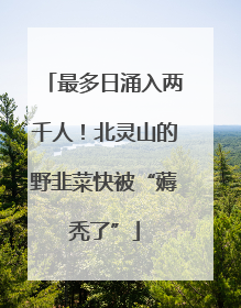 最多日涌入两千人！北灵山的野韭菜快被“薅秃了”