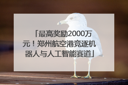 最高奖励2000万元！郑州航空港竞逐机器人与人工智能赛道