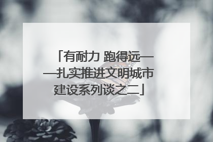 有耐力 跑得远——扎实推进文明城市建设系列谈之二